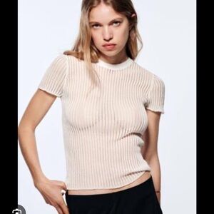 NWT Zara Short Sleeve Ribbed Mesh T-Shirt
